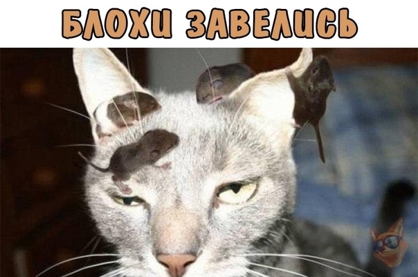 01 шшвь