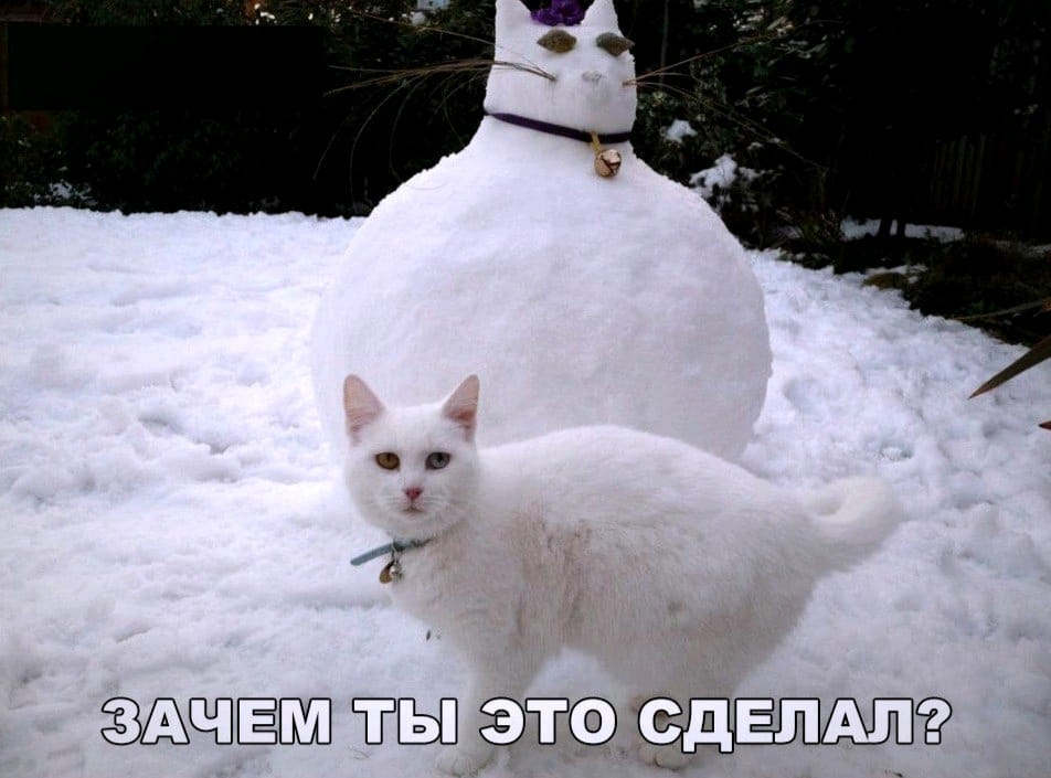 ЧЁШП тЫ т_