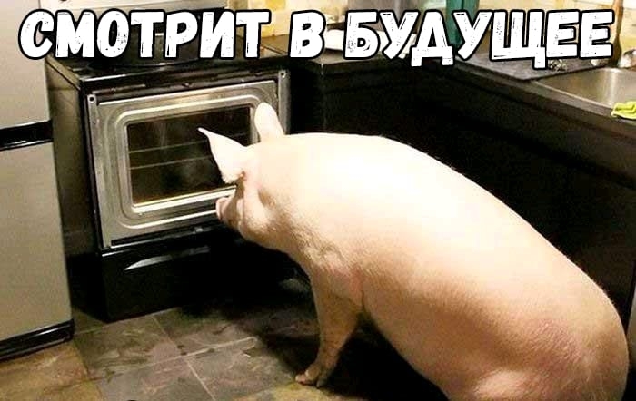 емзтгйтзйдзтёвз