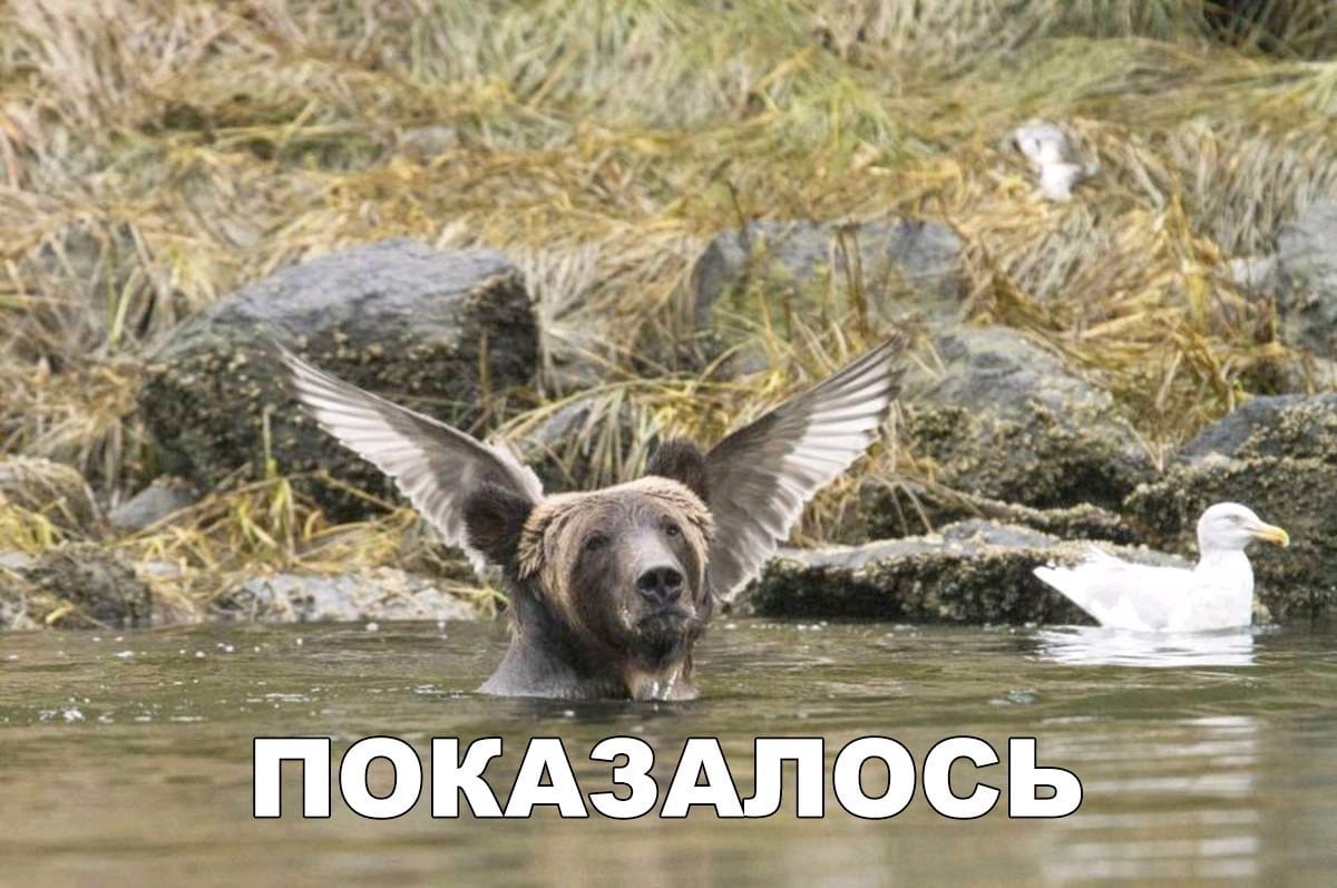 г _ _ь ищкдздльэс