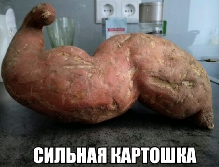 ВИЛЬНМ НдРШШНд