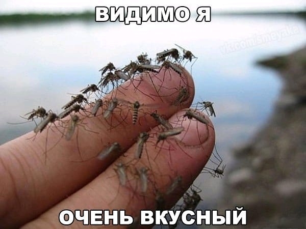 бчві пь вкусный