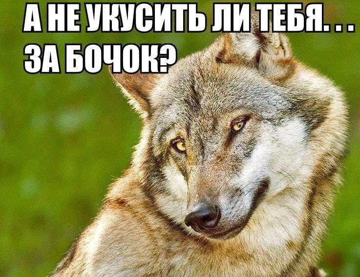 А НЕ ШШВИТЬ ИТЕБЯ зд Бочрнр