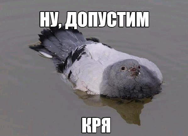У допустим _