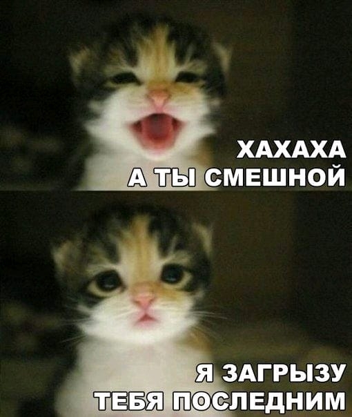 СМЕШНОЙ я здгрызу ЁЁ пеелвдним