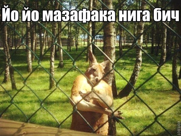 й _ _ 1 ги г _ __ цгь Ё у я