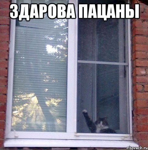 ЗДАВПЁЕА ШЩАНЫ