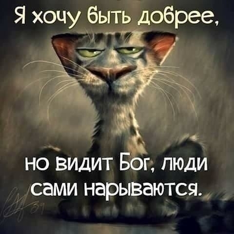 Я хочу быть Добрее д 35 і но видит Бог люди сами нарываются