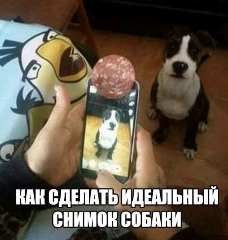 1 7 и ШШ СДЕЛАТЬ ИДШШЫИ щ
