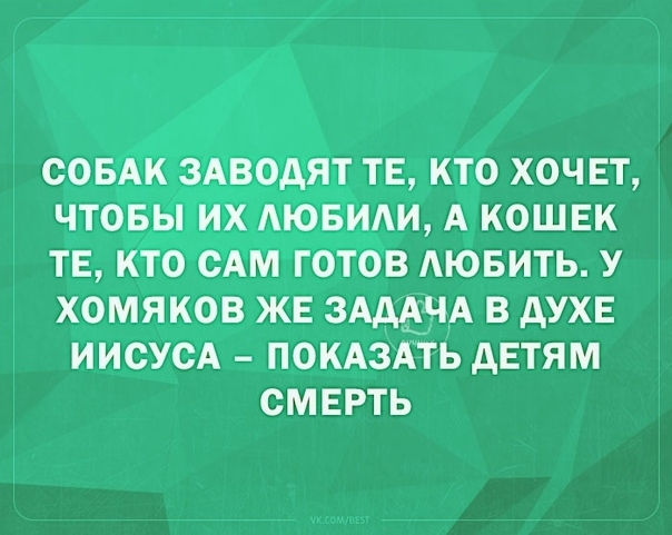 тв кто хоч ЕТ АИ ккошвк _гоов АЮБИТЬ у 1 хомяков ЖЕ эщщ в духе иисусА покАзАть дЕтям СМЕРТЬ