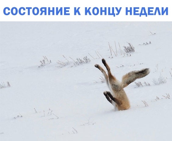 СОСТОЯНИЕ К КОНЦУ НЕДЕАИ
