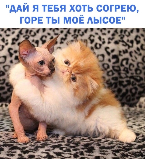 ААЙ Я ТЕБЯ ХОТЬ СОГРЕЮ ГОРЕ ТЫ МОЁ АЫСОЕ