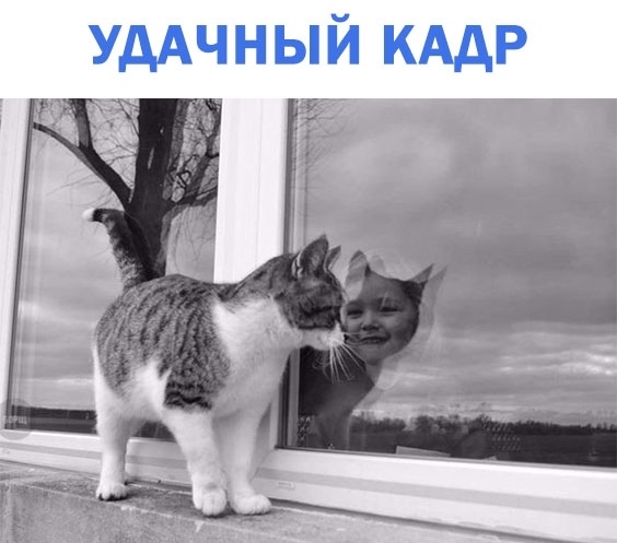 УдАЧНЫЙ кАдР ь