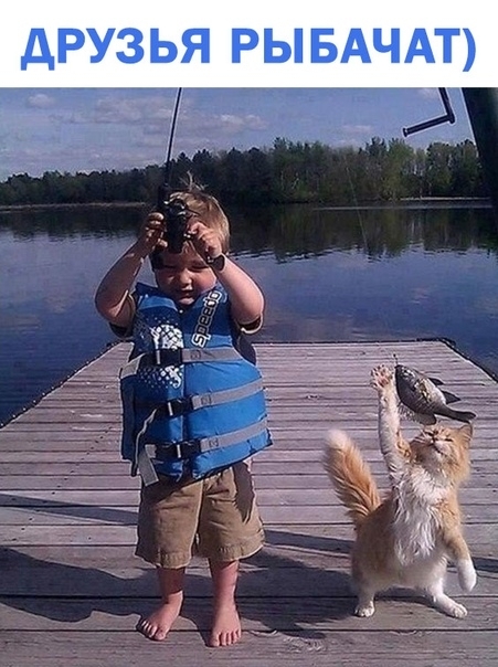 дРУЗЬЯ РЫБАЧАТ __
