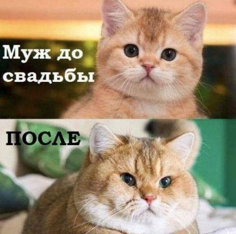 Муж до д свадьбы