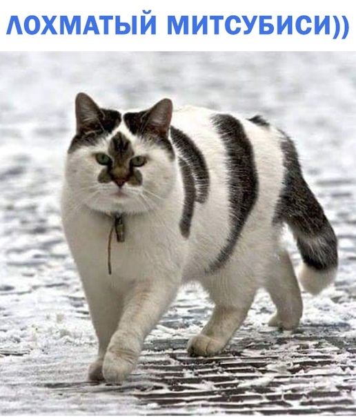 АОХМАТЫЙ митсУБиси