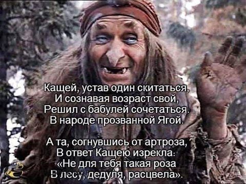 Кащей устав один скита И СОЗНЗБЗЯ возраст ОБОИ 7 Решил сбаб пей сочетаться А та согнувшись от артррза В ответ Кащею изрекла Не для тебд такая роза Ь ЛСу дедуЧ 1расцвепа