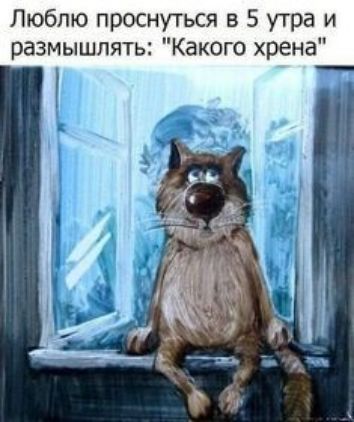 Люблю проснуться 5 утра и размышлять Какого хрена