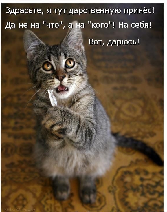 Здрасьте я тут дарственную принёс Да не на что а кого На себя Вот дарюсь