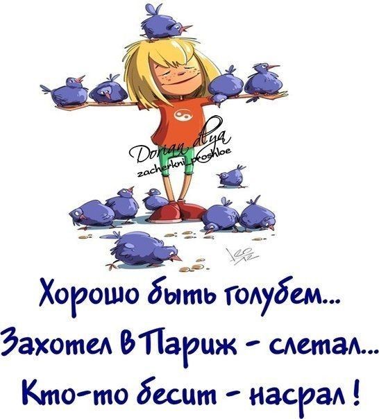 дакота Парцж метам Ктото бесит насрад