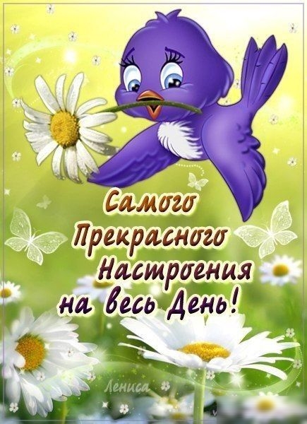 дамага Лрекраснёа улсшртия надавить