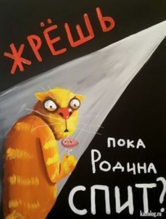 Род чнд спы13