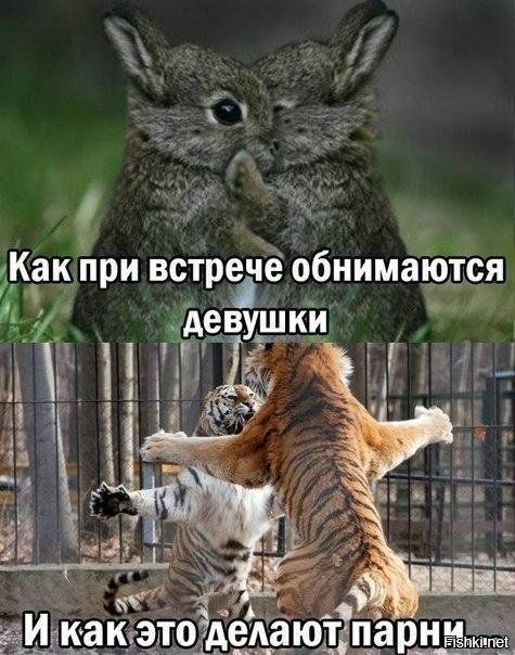 Как При встрече обнимаются дт _