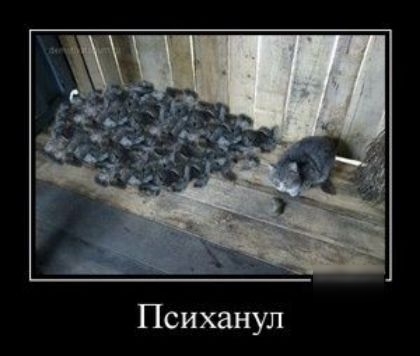 Психанул