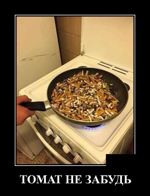 ТОМАТ НЕ ЗАБУДЬ