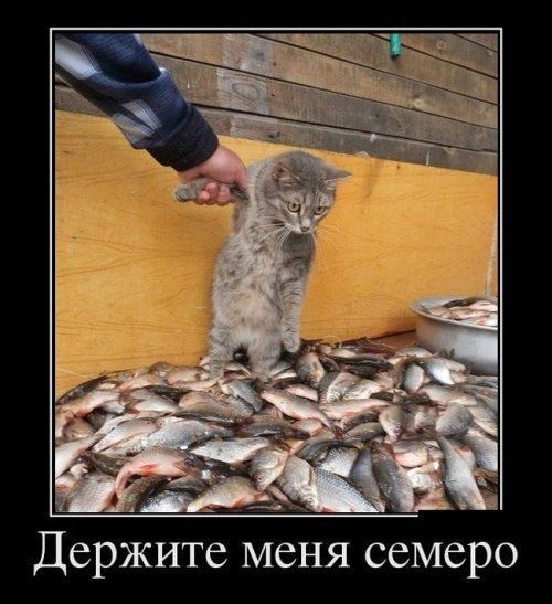 0 р с М с с Я _Н с М 6 Т И Ж р С Д