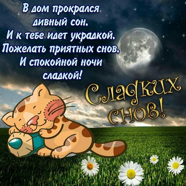 дечм прокрчлся А иивный сон _ _ И к тёБеыилет украдкой И спокойной ночи сладкой к а