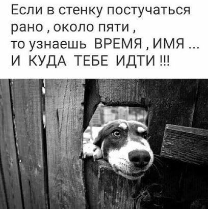 ЕСЛИ В СТЕНКУ ПОСТУЧаТЬСЯ рано около пяти то узнаешь ВРЕМЯ ИМЯ И КУДА ТЕБЕ ИДТИ