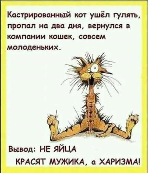Кастрированиый кот ушёл гулять пропал на двд лия вернулся в компании канюк совсем молоденьких Вывод НЕ ЯЙЦА КРАСЯТ МУЖИКА а ХАРИЗМА