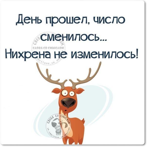 День прошел число сменилось Нихрена не изменилось