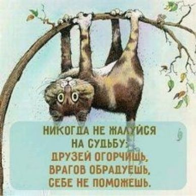вигов сердитый от не помошншь