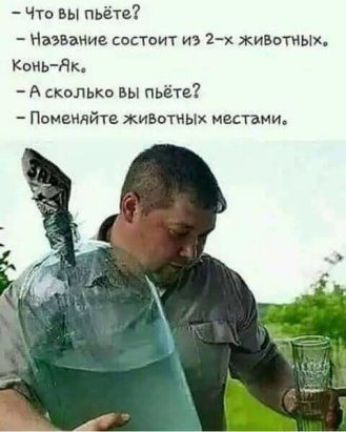Что вы пьёте Назвъние сопвит из 2 х хивотных Конь дк А сколько вы пьёте Помвидйте животных местами