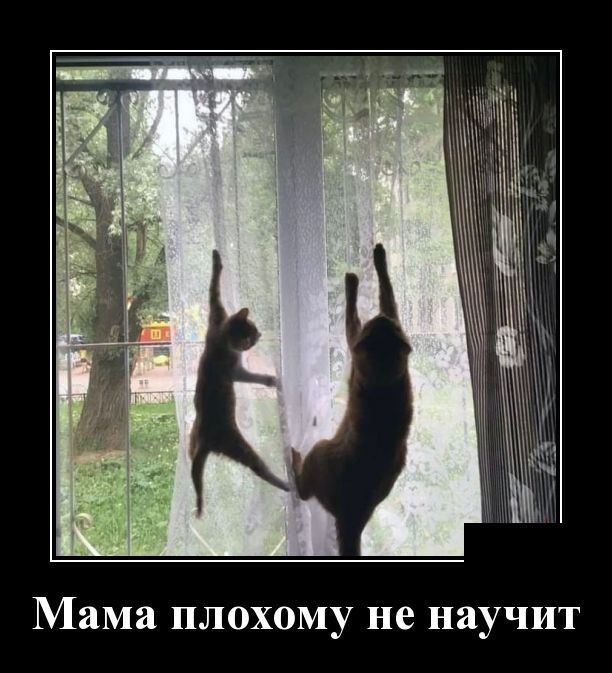 Мама плохому не научит
