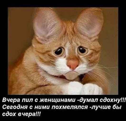 А _ Вчера пил женщинами думал сдохну Сегодня с ними пахмыяпся лучше бы сдох вчера