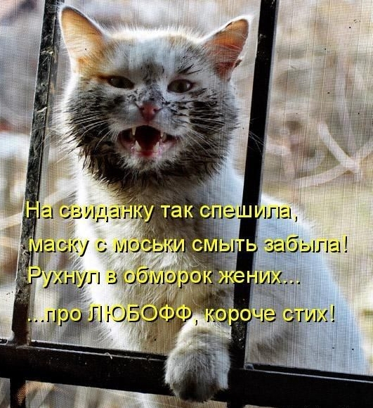 Мо ЧЁ