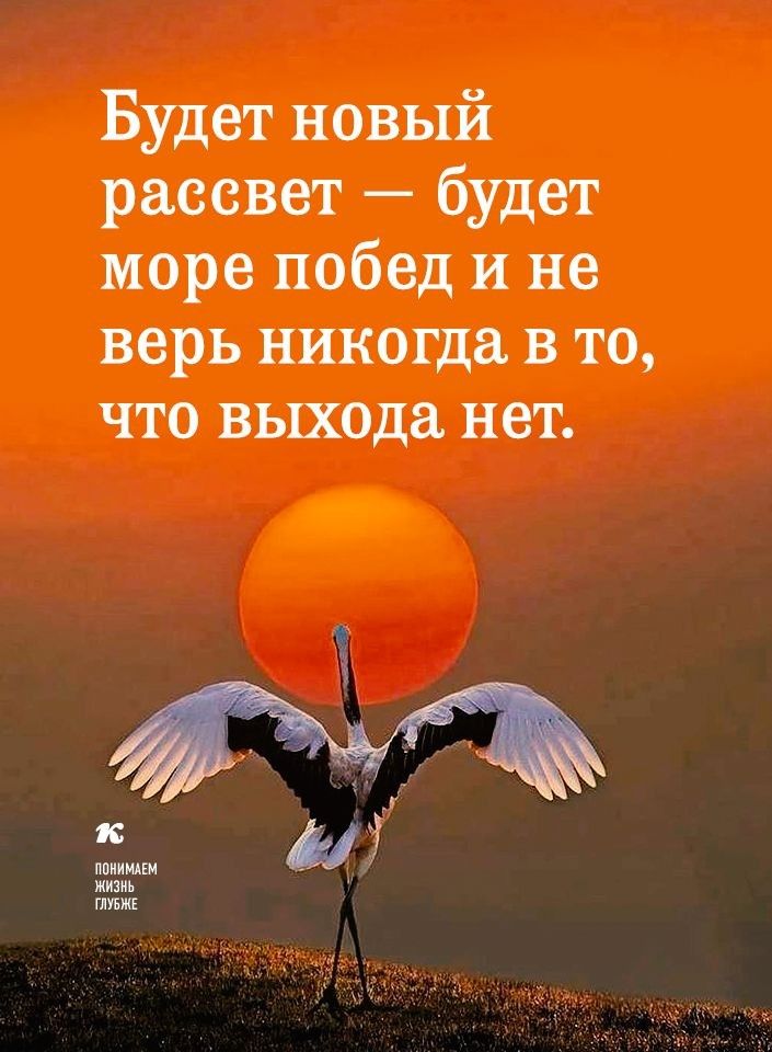 Будет новый рассвет будет море побед и не верь никогда в то ЧТО выхода нет жизнь глум