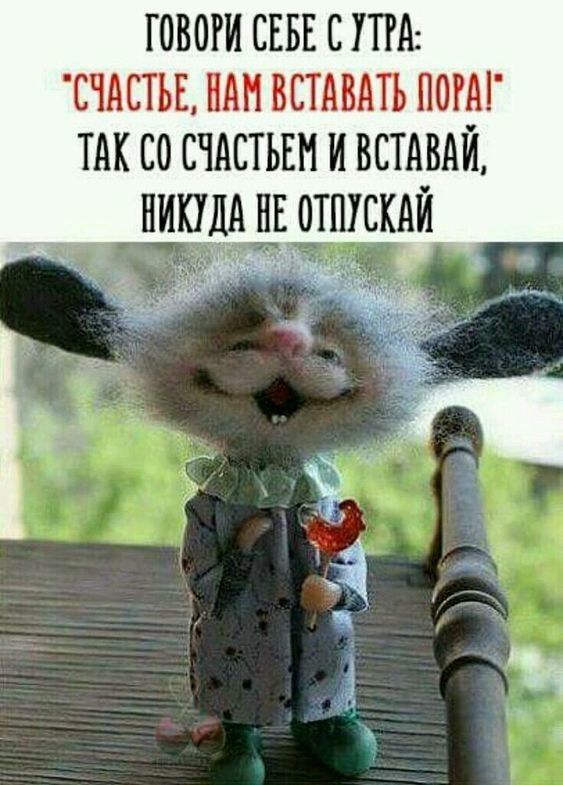 говоги сына с тд тчдстьв НАН вшить пот со счистьвм и встдвдй А _ ник1 отпускай