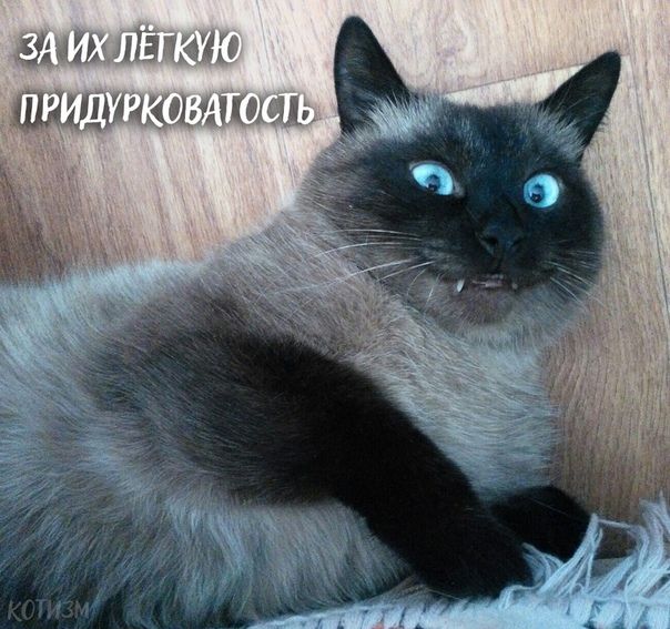 нижнихнина