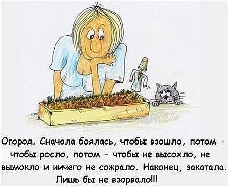 Огород Сначала боялась чтобы взошло потм чтобы росло лотам чтобы не вьюехло не вымакпо и иичгга не сожрала Наконец закатила Лишь бы не ваарвпл