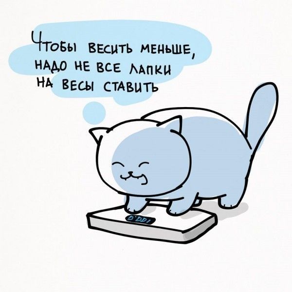 ЧТОБЫ весить МЕНЬШЕ НЕ все мпки нь Весы стАвыть