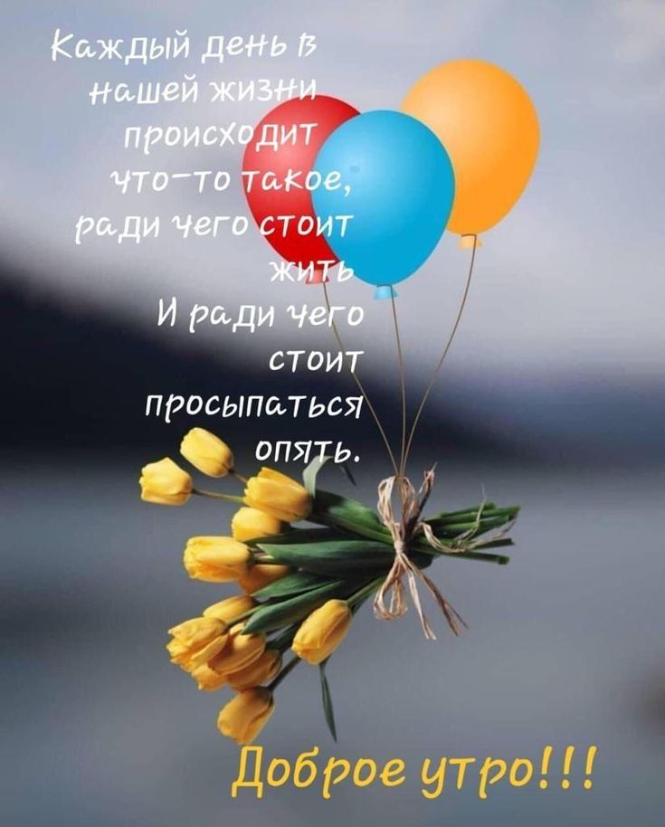 стоиТ просыпаться опчгь