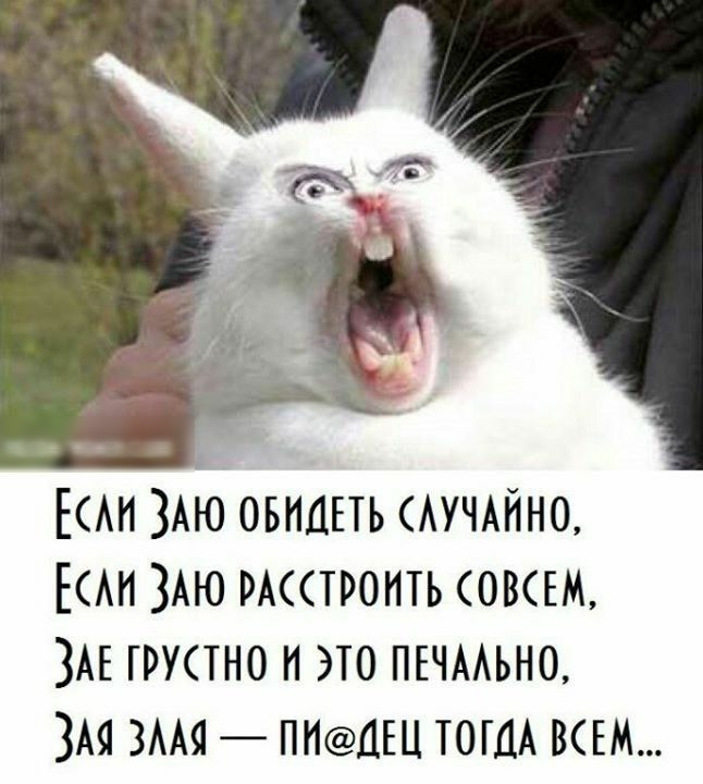 ЕАн 3Аю овицпь АУЧАЙНО ЕАн 3Аю стоить овЕМ ЗАЕ грустно и это пъчмьно ЗАя ЗААЯ ПНЦШ тогдА всвм