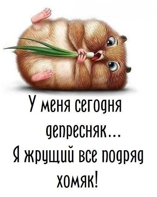 Уменя сегодня депресняк 1 жрцший все подряд хомяк