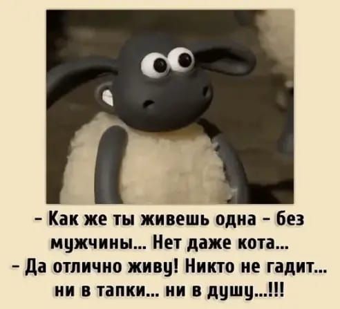 Как же ты живешь одна Без мужчины Нет даже кота да отлично живу Никто не гадит ии в тапки ни в душу
