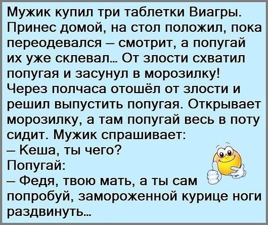 Мужик купил три таблетки Виагры Принес домой на стол положил пока переодевапся смотрит а попугай их уже склевал От злости схватил попугая и засунул в морозилку Через полчаса отошёл от злости и решил выпустить попугая Открывает морозилку а там попугай весь в поту сидит Мужик спрашивает Кеша ты чего Поп гай У Ъ Федя твою мать а ты сам попробуй замороженной курице ноги раздвинуть
