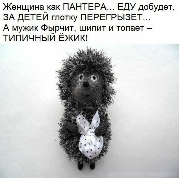 Женщина как ПАНТЕРА ЕДУ добудет ЗА дЕТЕЙ глотку ПЕРЕГРЫЗЕТ А мужик Фыр_чит шипит и топает ТИПИЧНЫЙ ЁЖИК